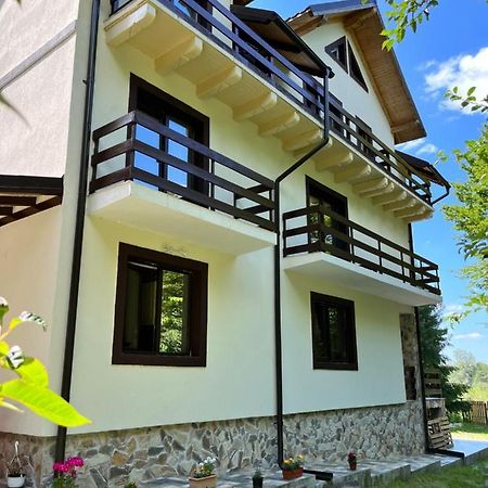 Cabana din Pădure Hotel Porumbacu de Sus Exterior foto