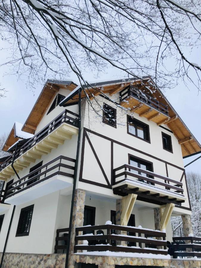 Cabana din Pădure Hotel Porumbacu de Sus Exterior foto