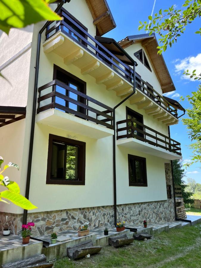 Cabana din Pădure Hotel Porumbacu de Sus Exterior foto
