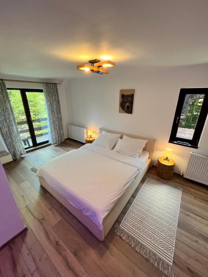 Cabana din Pădure Hotel Porumbacu de Sus Exterior foto