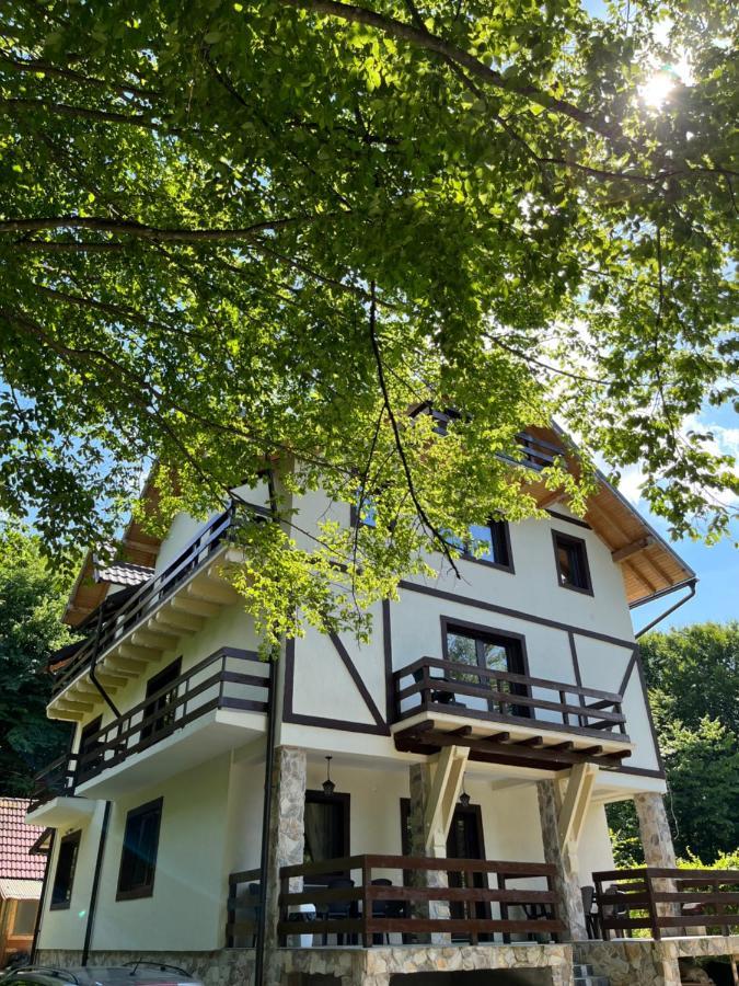 Cabana din Pădure Hotel Porumbacu de Sus Exterior foto