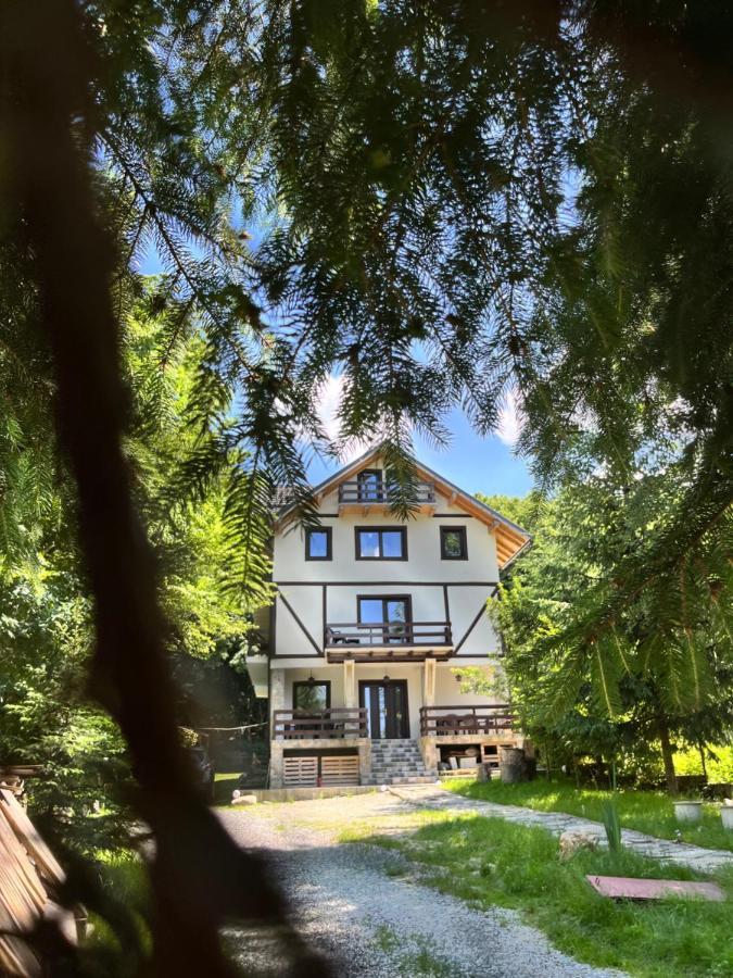 Cabana din Pădure Hotel Porumbacu de Sus Exterior foto