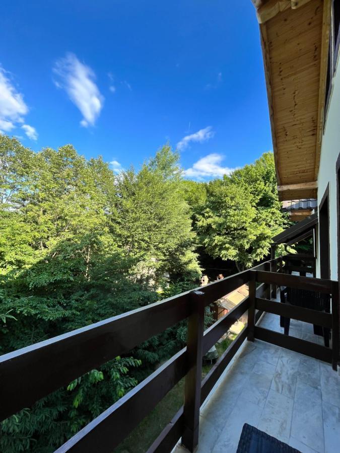 Cabana din Pădure Hotel Porumbacu de Sus Exterior foto